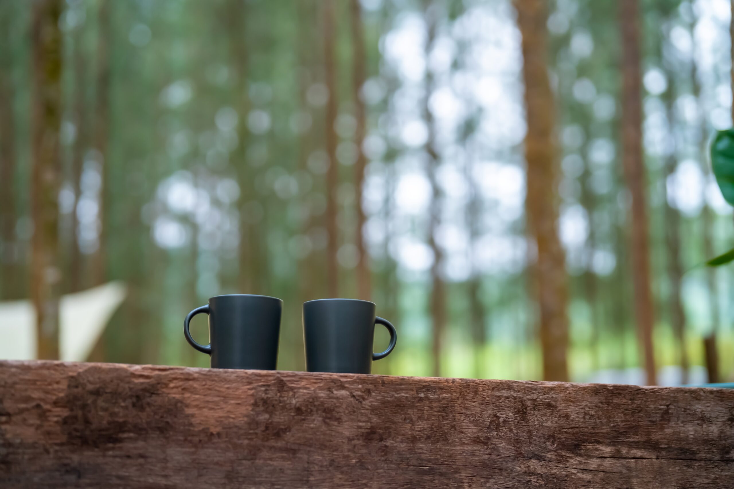 Kaffe i skoven